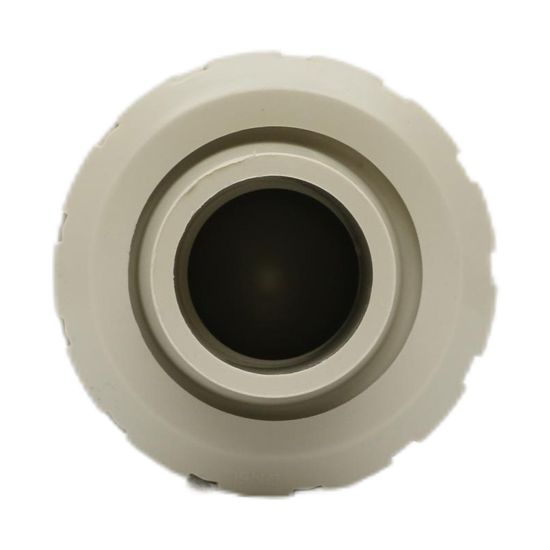 Norme chaude du clapet anti-retour DN50 GB de soudure de fonte de PPH H61F-10S