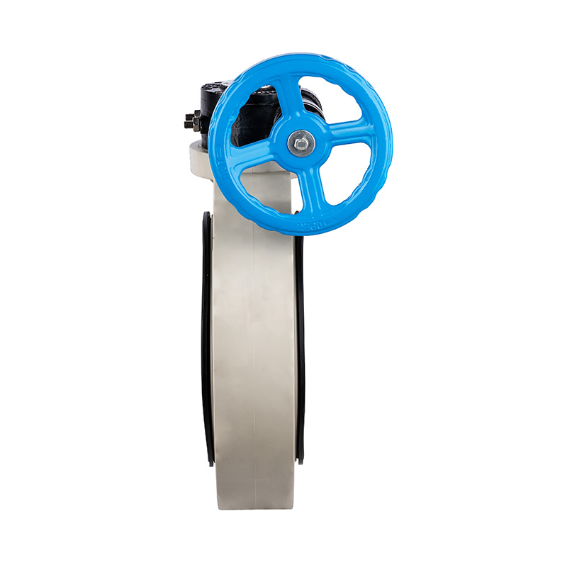 Vanne papillon à vis sans aileron PPH D371X-10S DN32-1000 GB standard