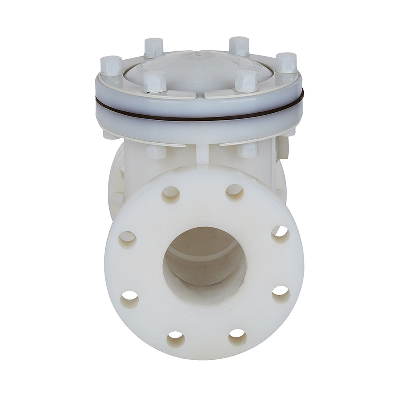 Norme du clapet anti-retour à battant PVDF H44F-10F DN15-300 GB