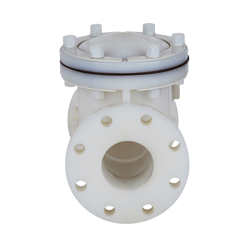 Clapet anti-retour à balançoire PVDF H44F-10F DN15-300 1/2'-12' norme ANSI