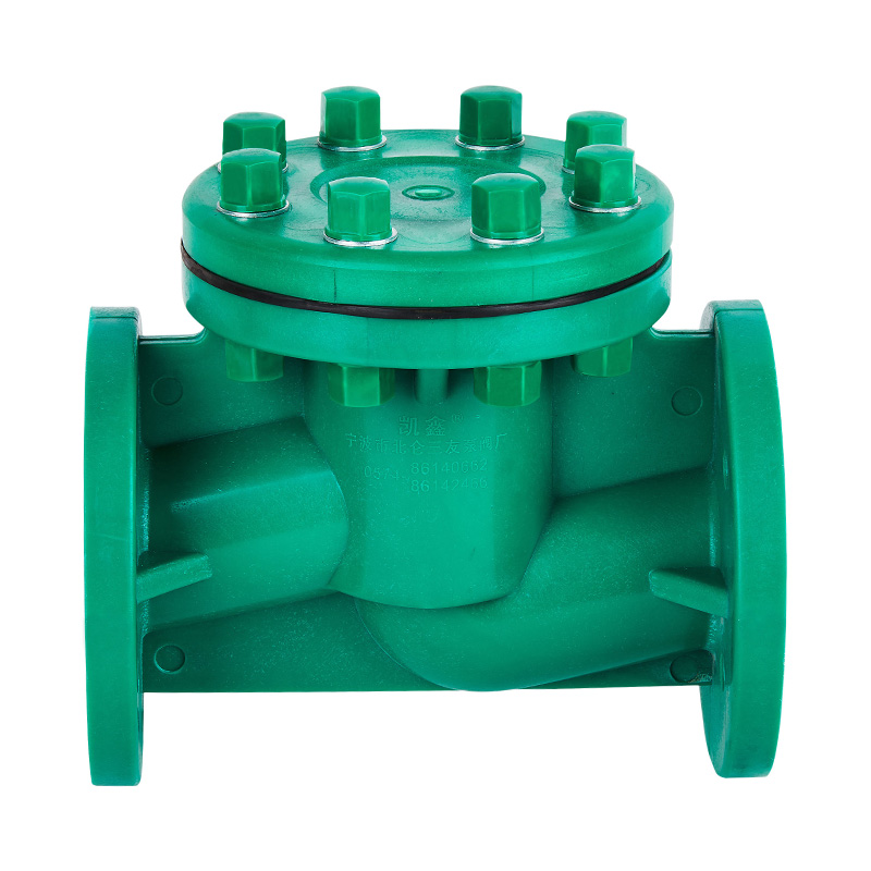 Norme du type à vie du clapet anti-retour DN40-80 GB FRPP H41F-10S