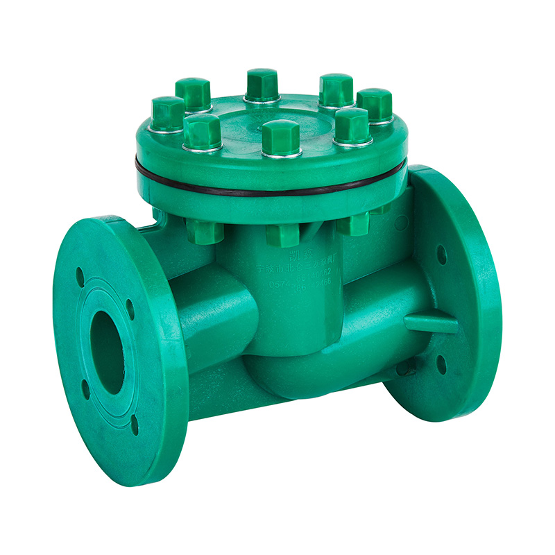 Norme du type à vie du clapet anti-retour DN40-80 GB FRPP H41F-10S