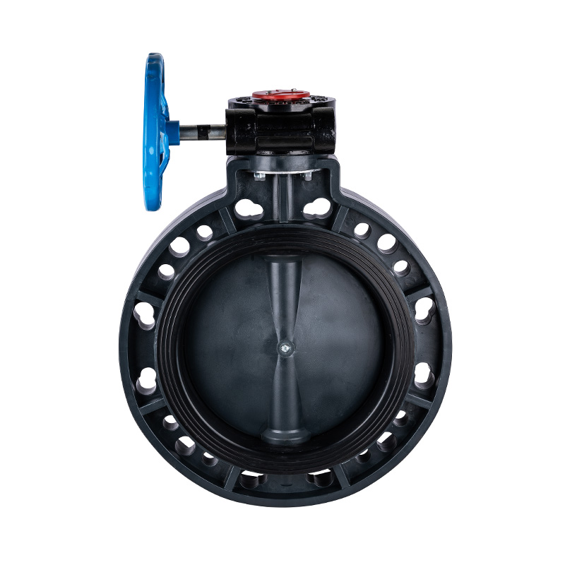 Vanne papillon à vis sans aileron FRPP D371X-10S DN32-1000 GB standard