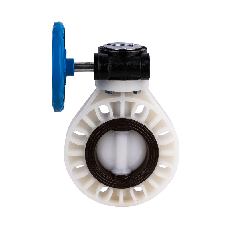 Vanne papillon à vis sans aileron PVDF D371X-10F DN32-1000 GB standard