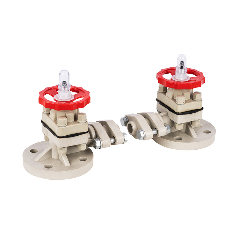 Indicateur de niveau PPH G41F-10S DN15-50 GB Standard